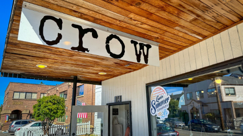 Crow in Downtown Edmonds