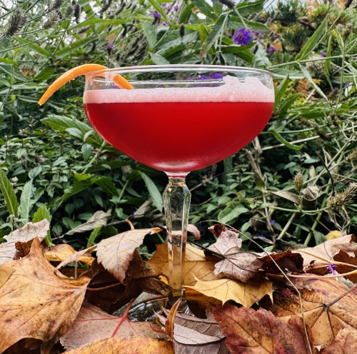 Clausmopoliton holiday cocktail from Vinbero in Edmonds WA